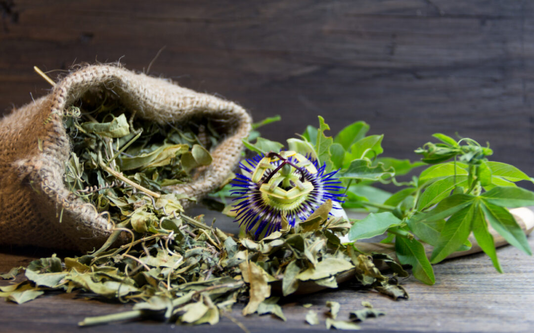 Zioła z Andów i Amazonii: co warto wiedzieć, zanim zaczniesz suplementację